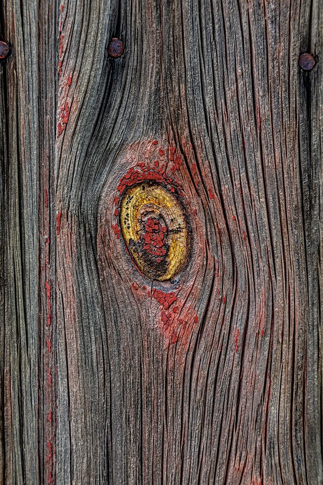 USA, Palouse, Washington State. Wood pattern.